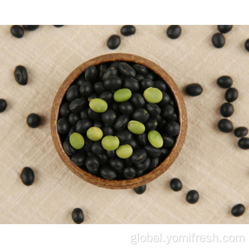 Black Bean Rice Healthiest Beans For Weight Loss Supplier